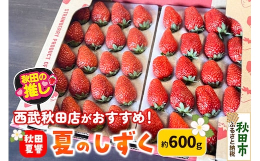 西武秋田店がおすすめする秋田の推し 秋田県産 いちご「秋田夏響」 なつひびき 約600g【先行受付】「夏のしずく」のブランド [イチゴ 苺 あまい いちご]