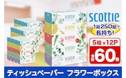 ティッシュペーパー スコッティ フラワーボックス250組 60箱(5箱×12パック) ティッシュ 日用品  [ティッシュ ボックスティッシュ]