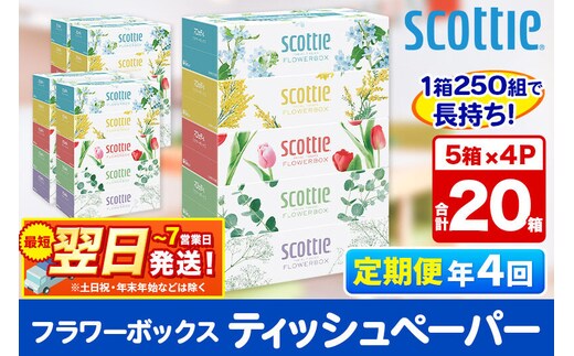 《3ヶ月ごとに4回お届け》定期便 ティッシュペーパー スコッティ フラワーボックス250組 20箱(5箱×4パック) ティッシュ 秋田市オリジナル 最短翌日発送 新生活