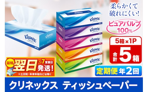 《6ヶ月ごとに2回お届け》定期便 ティッシュペーパー クリネックス ティシュー 5箱×1パック 秋田市オリジナル 最短翌日発送 within2025