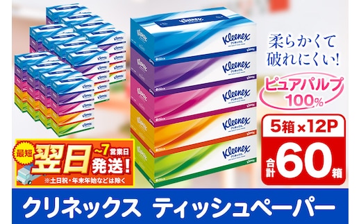 ティッシュ クリネックス ティシュー 5箱×12パック 日用品 最短翌日発送 within2025