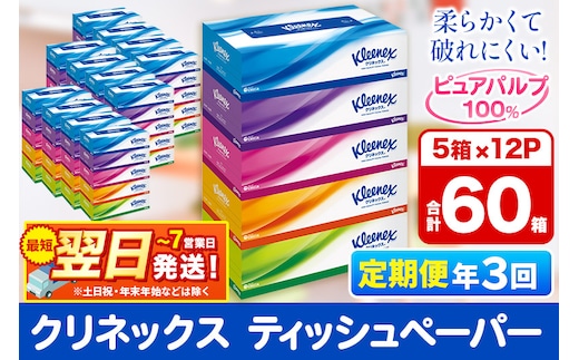 《4ヶ月ごとに3回お届け》定期便 ティッシュ クリネックス ティシュー 5箱×12パック 最短翌日発送 within2025