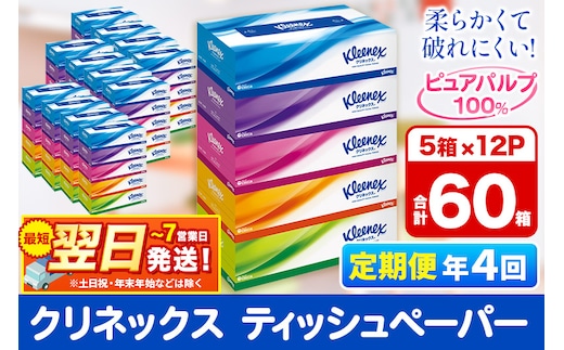 《3ヶ月ごとに4回お届け》定期便 ティッシュ クリネックス ティシュー 5箱×12パック 最短翌日発送 within2025