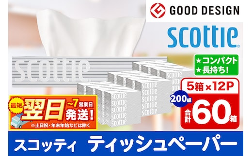 ティッシュペーパー スコッティ 200組 60箱(5箱×12パック) ティッシュ 日用品 最短翌日発送 within2025
