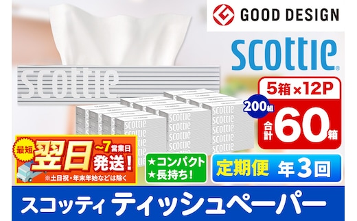 《4ヶ月ごとに3回お届け》定期便 ティッシュペーパー スコッティ 200組 60箱(5箱×12パック) ティッシュ 最短翌日発送 within2025