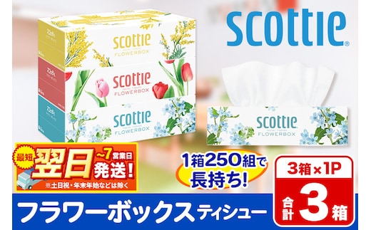 ティッシュペーパー スコッティ ティシュー フラワーボックス 250組 3箱パック×1パック 秋田市オリジナル 最短翌日発送 within2025
