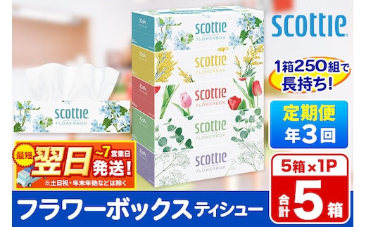 《4ヶ月ごとに3回お届け》定期便 ティッシュペーパー スコッティ ティシュー フラワーボックス 250組 5箱パック×1パック 秋田市オリジナル 最短翌日発送 within2025