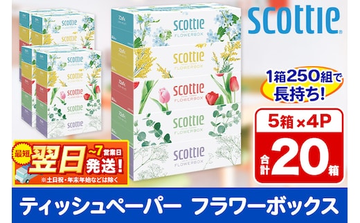 最短翌日発送ティッシュペーパー スコッティ フラワーボックス250組 20箱(5箱×4パック) ティッシュ 秋田市オリジナル 最短翌日発送 within2025