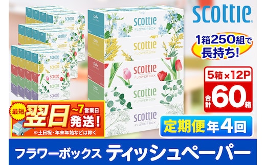 《3ヶ月ごとに4回お届け》定期便 ティッシュペーパー スコッティ フラワーボックス250組 60箱(5箱×12パック) ティッシュ 最短翌日発送 within2025