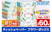 ティッシュペーパー スコッティ フラワーボックス250組 60箱(5箱×12パック) ティッシュ 日用品  最短翌日発送 within2025