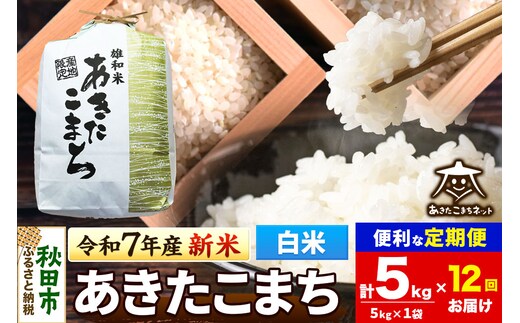 ふるさと納税 《定期便11ヶ月》令和5年産 おばこの匠 秋田県産あきたこまち 2kg×11回 計22kg 11か月 11ヵ月 11カ月 11ケ月 秋田こ.. 秋田県美郷町