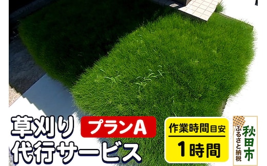 草刈代行サービス プランA(作業目安：1時間) リモートで楽々メンテナンス！【秋田県秋田市】