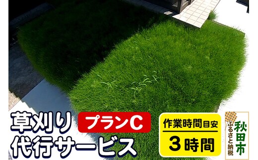 草刈代行サービス プランC(作業目安：3時間) リモートで楽々メンテナンス！【秋田県秋田市】
