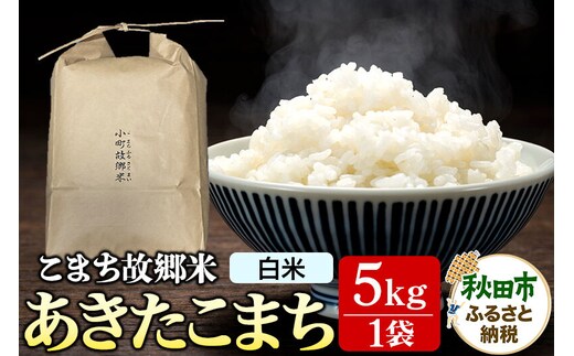 米 こまち故郷米 ＜ あきたこまち ＞ 白米 5kg ×1袋 令和8年産 [米 白米 あきたこまち 秋田県 秋田市]