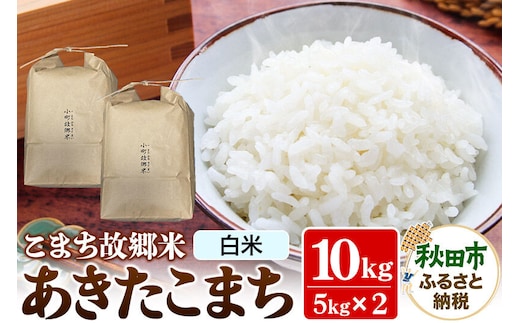 米 こまち故郷米 ＜ あきたこまち ＞ 白米 10kg (5kg×2袋) 令和8年産 [米 白米 あきたこまち 秋田県 秋田市]