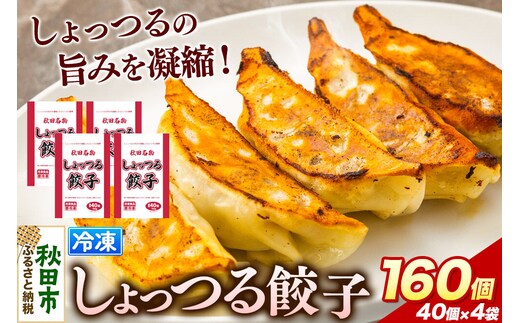 秋田名物 しょっつる餃子 40個入×4袋 秋田のしょっつるを使用 秋田県 秋田市 冷凍発送 生ぎょうざ [ぎょうざ チルド しょっつる 生餃子]