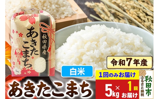 あきたこまち 5kg 令和7年産 【1回のみお届け】【白米】秋田県産