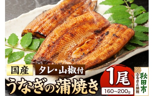 うなぎ うなぎ蒲焼き 160～200g× 1尾 (タレ・山椒付き) 仕出しのせきや 鰻 土用の丑の日 国産