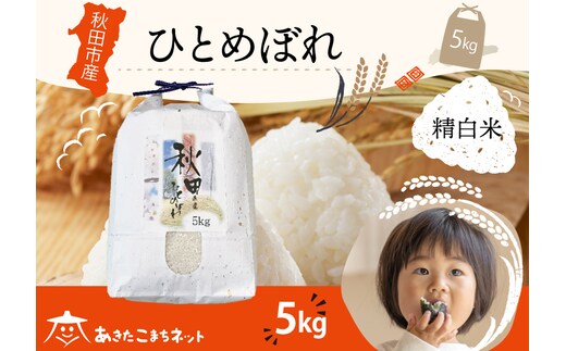 ひとめぼれ 5kg 【白米】 秋田市産