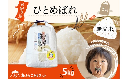 ひとめぼれ 5kg 【無洗米】秋田市産