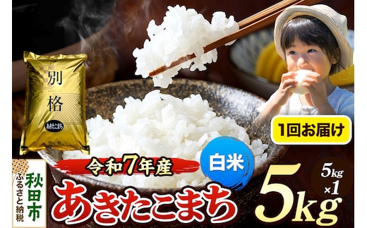《令和7年産》 米 あきたこまち 5kg 【白米】 秋田県産