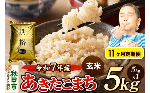 《令和7年産》《定期便11ヶ月》 米 あきたこまち 5kg 【玄米】 秋田県産