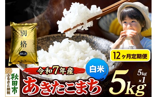 《令和7年産》《定期便12ヶ月》 米 あきたこまち 5kg 【白米】 秋田県産
