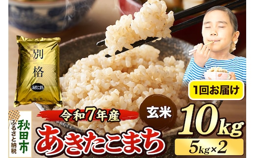 《令和7年産》 米 あきたこまち 10kg（5kg×2袋） 【玄米】 秋田県産