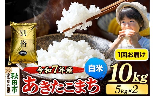 《令和7年産》 米 あきたこまち 10kg（5kg×2袋） 【白米】 秋田県産