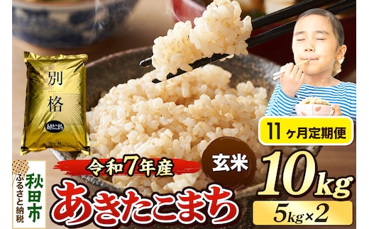 《令和7年産》《定期便11ヶ月》 米 あきたこまち 10kg（5kg×2袋） 【玄米】 秋田県産
