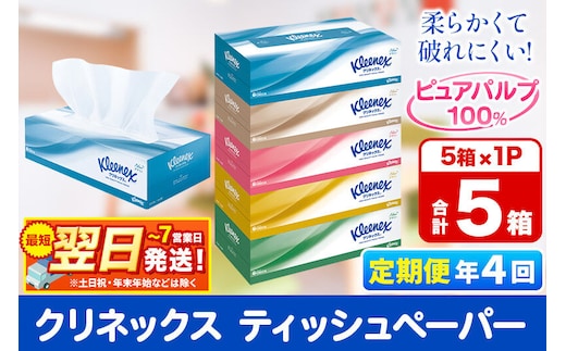 《3ヶ月ごとに4回お届け》定期便 ティッシュペーパー クリネックス ティシュー 5箱×1パック 秋田市オリジナル 最短翌日発送 [ティッシュ ボックスティッシュ]