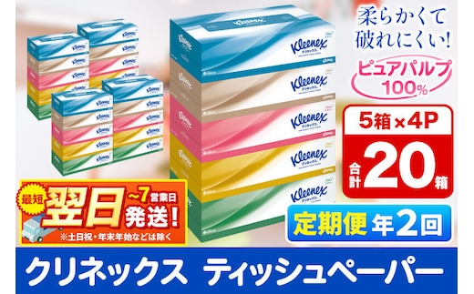 《6ヶ月ごとに2回お届け》定期便 ティッシュ クリネックス 20箱 5箱×4パック 秋田市オリジナル 最短翌日発送 [クリネックス ティッシュ ボックスティッシュ 日本製紙クレシア 定期便]