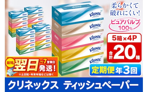 《4ヶ月ごとに3回お届け》定期便 ティッシュ クリネックス 20箱 5箱×4パック 秋田市オリジナル 最短翌日発送 [クリネックス ティッシュ ボックスティッシュ 日本製紙クレシア 定期便]