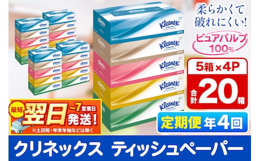 《3ヶ月ごとに4回お届け》定期便 ティッシュ クリネックス 20箱 5箱×4パック 秋田市オリジナル 最短翌日発送 [クリネックス ティッシュ ボックスティッシュ 日本製紙クレシア 定期便]