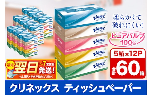 ティッシュ クリネックス ティシュー 5箱×12パック 日用品 最短翌日発送 [クリネックス ティッシュ ボックスティッシュ 日本製紙クレシア]