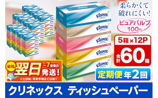 《6ヶ月ごとに2回お届け》定期便 ティッシュ クリネックス ティシュー 5箱×12パック 最短翌日発送 [クリネックス ティッシュ ボックスティッシュ 日本製紙クレシア 定期便]