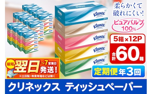 《4ヶ月ごとに3回お届け》定期便 ティッシュ クリネックス ティシュー 5箱×12パック 最短翌日発送 [クリネックス ティッシュ ボックスティッシュ 日本製紙クレシア 定期便]