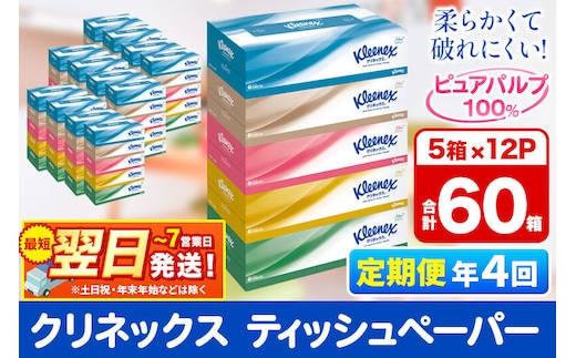 《3ヶ月ごとに4回お届け》定期便 ティッシュ クリネックス ティシュー 5箱×12パック 最短翌日発送 [クリネックス ティッシュ ボックスティッシュ 日本製紙クレシア 定期便]