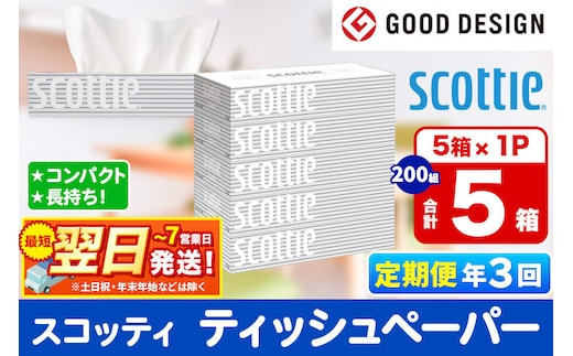 《4ヶ月ごとに3回お届け》定期便 ティッシュペーパー スコッティ ティシュー 5箱×1パック 秋田市オリジナル 最短翌日発送 [ティッシュ ボックスティッシュ]
