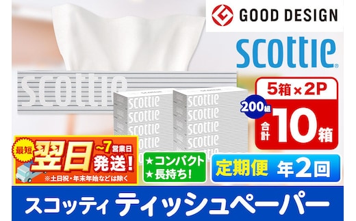 《6ヶ月ごとに2回お届け》定期便 ティッシュペーパー スコッティ 200組 10箱(5箱×2パック) ティッシュ 秋田市オリジナル 最短翌日発送 [ティッシュ ボックスティッシュ スコッティ(SCOTTIE) スコッティティシュー 定期便 新生活]