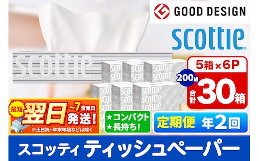 《6ヶ月ごとに2回お届け》定期便 ティッシュペーパー スコッティ 200組 30箱(5箱×6パック) ティッシュ 秋田市オリジナル 最短翌日発送 [ティッシュ ボックスティッシュ スコッティ(SCOTTIE) スコッティティシュー 定期便 新生活]
