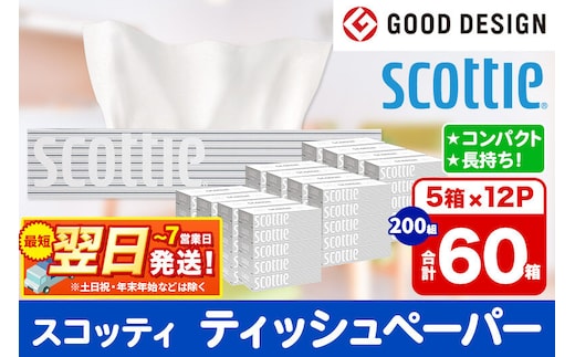 ティッシュペーパー スコッティ 200組 60箱(5箱×12パック) ティッシュ 日用品 最短翌日発送 [ティッシュ ボックスティッシュ スコッティ(SCOTTIE) スコッティティシュー]
