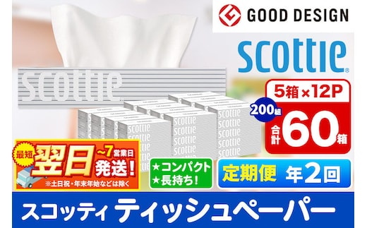 《6ヶ月ごとに2回お届け》定期便 ティッシュペーパー スコッティ 200組 60箱(5箱×12パック) ティッシュ 最短翌日発送 [ティッシュ ボックスティッシュ スコッティ(SCOTTIE) スコッティティシュー 定期便]
