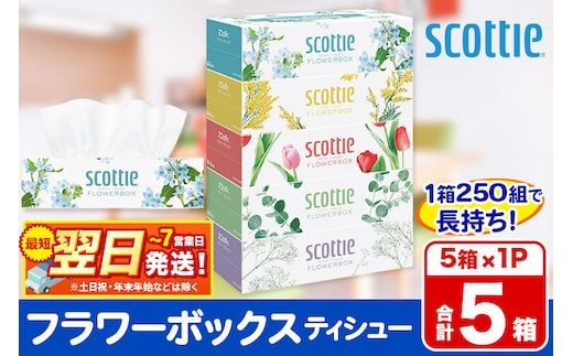 スコッティ ティッシュペーパー フラワーボックス 5箱×1パック 秋田市オリジナル 最短翌日発送 [ティッシュ ボックスティッシュ]