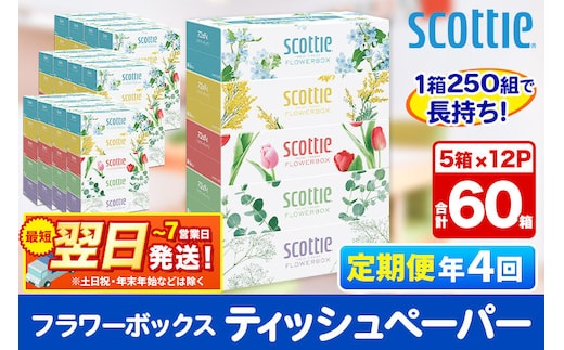《3ヶ月ごとに4回お届け》定期便 ティッシュペーパー スコッティ フラワーボックス250組 60箱(5箱×12パック) ティッシュ 最短翌日発送 [ティッシュ スコッティ(SCOTTIE) スコッティティシュー 定期便]