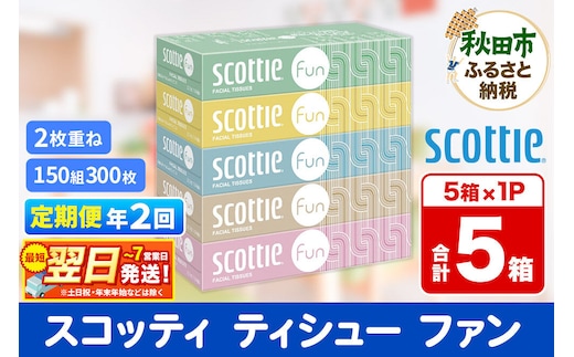 《6ヶ月ごとに2回お届け》定期便 ティッシュペーパー スコッティ ティシュー ファン 150組 5箱×1パック 秋田市オリジナル 最短翌日発送 [ティッシュ スコッティ(SCOTTIE) スコッティティシュー]