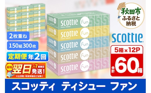 《6ヶ月ごとに2回お届け》定期便 ティッシュペーパー スコッティ ティシュー ファン 150組 5箱×12パック 最短翌日発送 [ティッシュ スコッティ(SCOTTIE) スコッティティシュー]