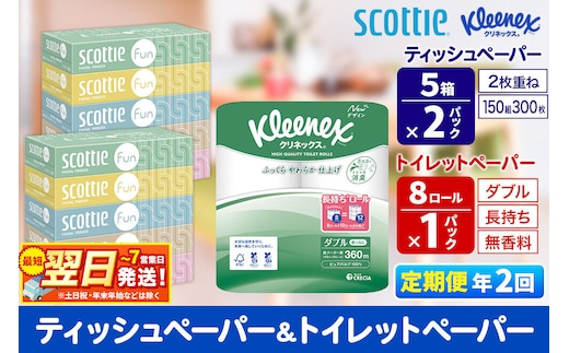 《6ヶ月ごとに2回お届け》定期便 クリネックス トイレットペーパー 長持ちロール ダブル 8ロール×1パック ＆ ティッシュペーパー スコッティ ファン 150組 5箱×2パック 秋田市オリジナル 最短翌日発送 [クリネックス 長持ちロール 日本製紙クレシア ティッシュ スコッティ 新生活]