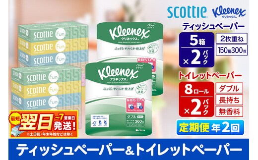 《6ヶ月ごとに2回お届け》定期便 クリネックス トイレットペーパー 長持ちロール ダブル 8ロール×2パック ＆ ティッシュペーパー スコッティ ファン 150組 5箱×2パック 秋田市オリジナル 最短翌日発送 [クリネックス 長持ちロール 日本製紙クレシア ティッシュ スコッティ 新生活]