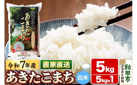 米 あきたこまち 5kg 令和7年産 白米 田口商店 農家直送 秋田県産